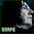  Harry Potter: Severus Snape 