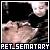  Pet Sematary 