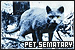Pet Sematary
