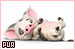 Moana: Pua