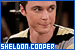 Big Bang Theory: Sheldon Cooper