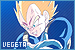 Dragonball: Vegeta