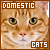 Cats: Domestic
