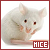 Mice