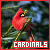 Cardinals