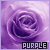 Colors: Purple