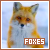 Foxes