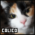 Cats: Calico