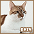 General: Pets