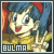 Dragonball: Bulma Briefs