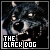 Black Dog