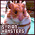 Hamsters: Syrian