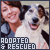 Animals (Adopted & Rescued)