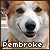 Dogs: Pembroke Welsh Corgis