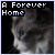 Cats & Kittens (Adopted)